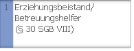 Erziehungsbeistand