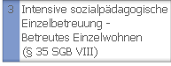 Intensive Einzelbetreuung