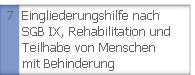 Eingliederungshilfe für behinderte Menschen